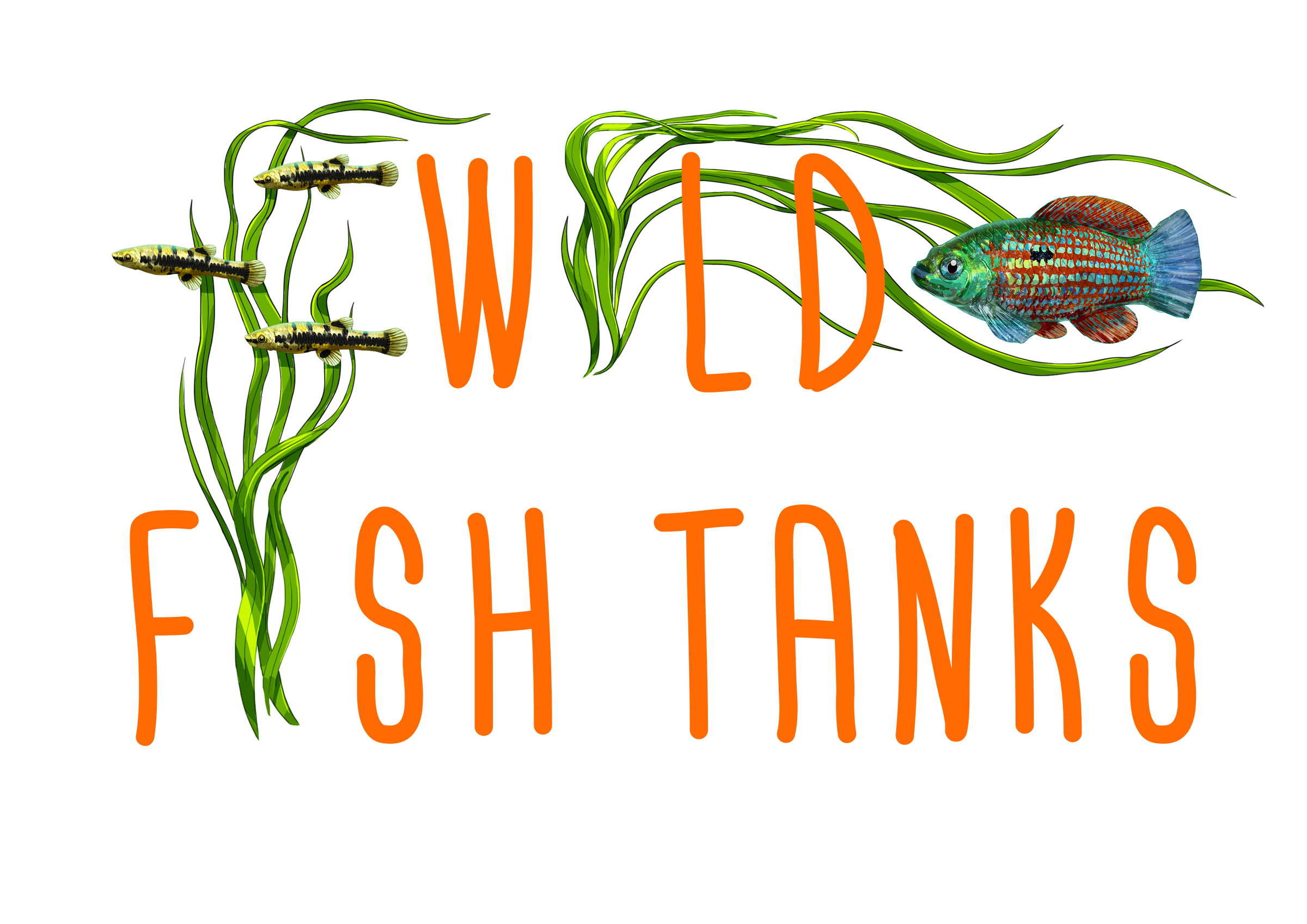 Wild fish outlet tank